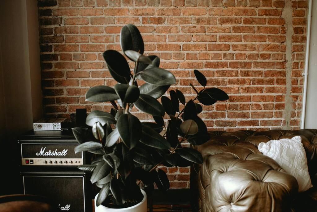 The 511. A Luxury Loft On State St. Apartment Bristol Bagian luar foto